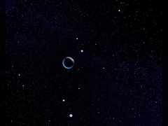 شركة (فارلي) للتصفية